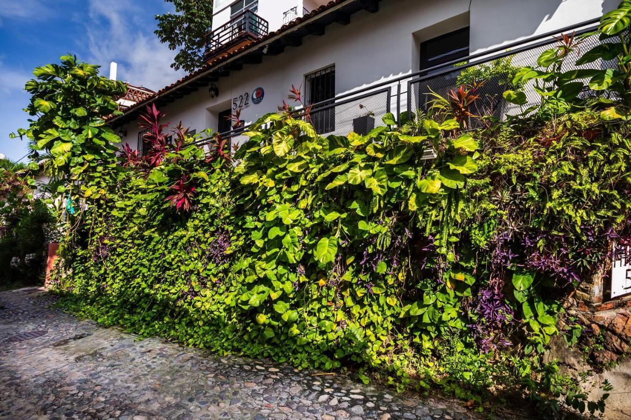 Hotel 522, Puerto Vallarta Eksteriør billede